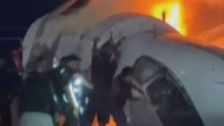 Policija u Vijetnamu spasila više od 400 mačaka koje bi bile pojedene