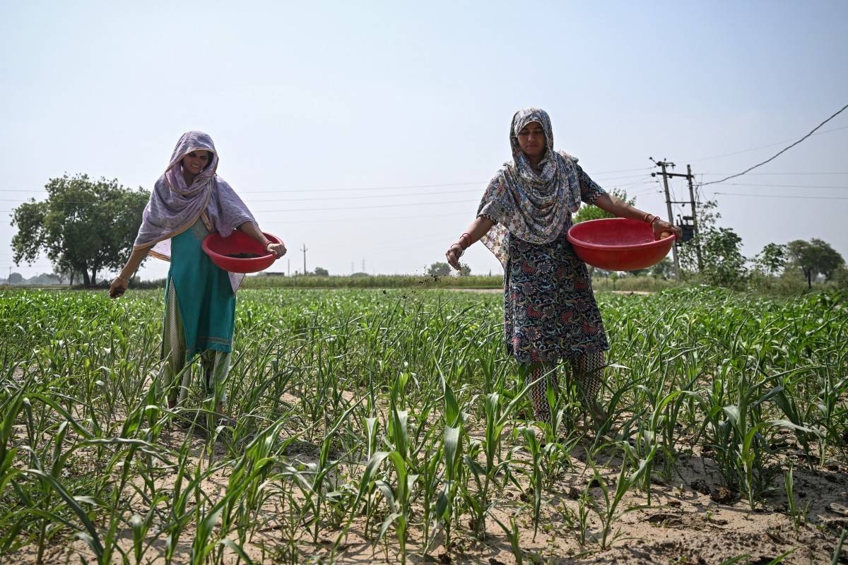 As supply fears grow, India eyes biofertilizers