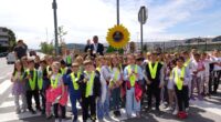 Svetovni dan čebel – skupaj s Slovenskimi železnicami smo v Grosupljem posejali sončnice