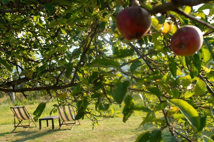 Sunčano sa najvišom temperaturom oko 31 stepen