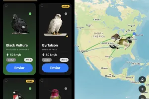 Pombo-correio digital? Aplicativo envia mensagens que podem chegar em 1 ano
