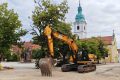 Hoće li karlovačke lipe biti spašene? Sutra okupljanje na Starom placu, Ministarstvu kulture upućen apel