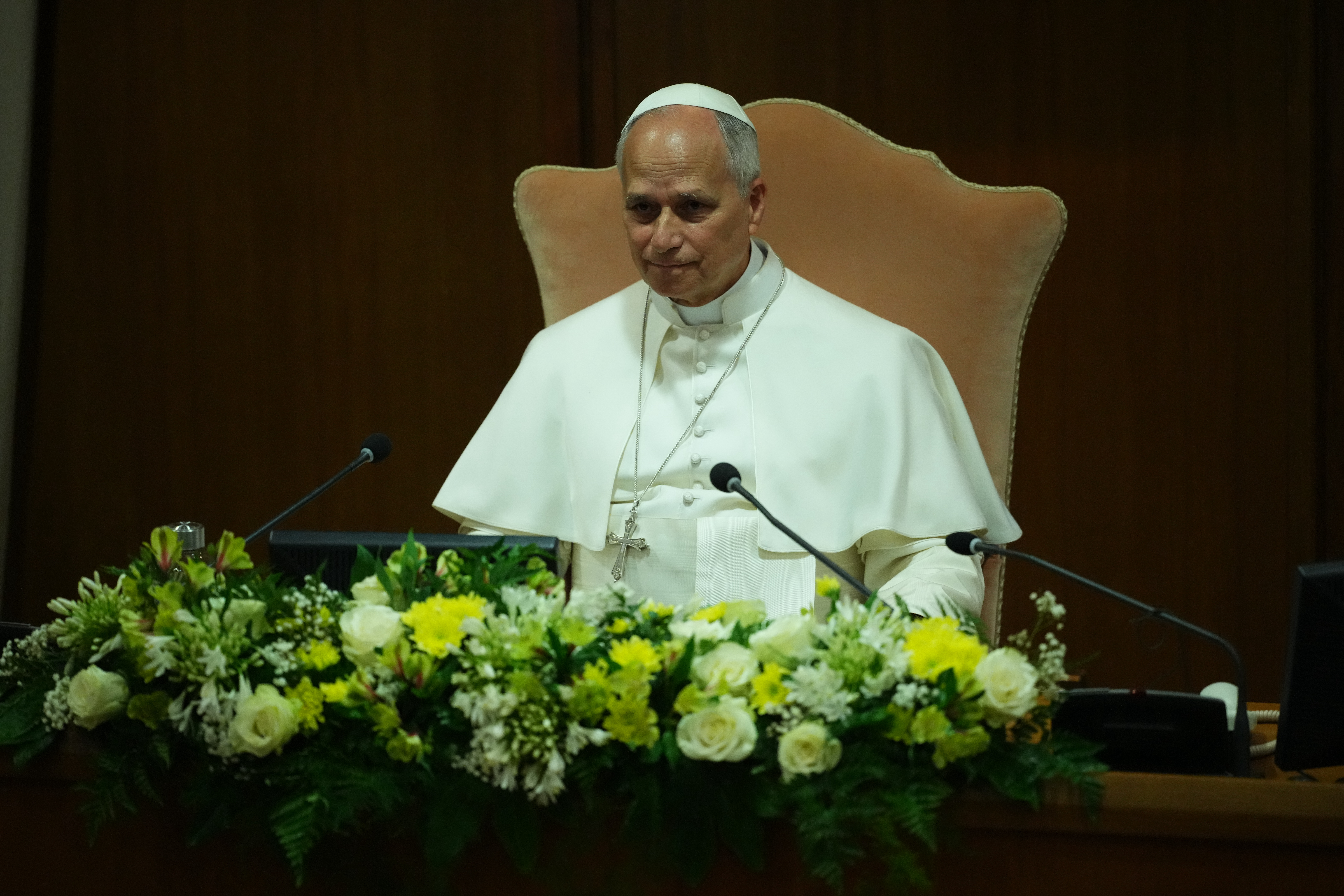 Pope Leo warns that AI challenges must be confronted with regulation, transparency in his 1st encyclical