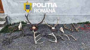 [VIDEO] Zeci de percheziții pe Valea Mureșului: 4 bărbați au fost reținuți