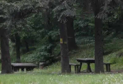 Pronađen ranac pun oružja na Košutnjaku: Hitno pozvana policija - Ljudi ostali u šoku kada su videli prizor