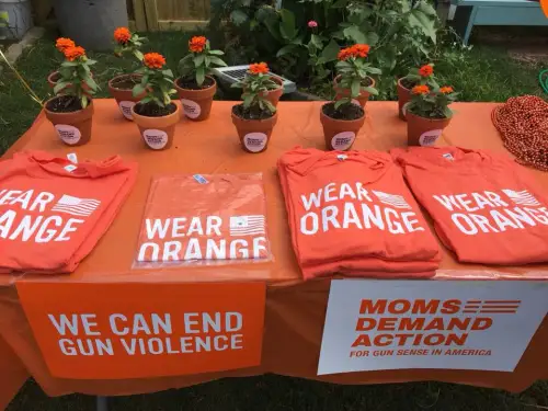 Sunday’s ‘Wear Orange’ event a reminder to lock up your damn guns