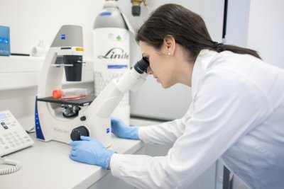 Study: Oldest signs of plague outbreaks found in prehistoric graves