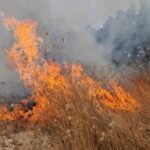 Požar pomeѓu štipskite sela Dolani i Ljuboten, edno lice povredeno