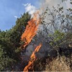 Ušte e aktiven požarot vo probištipskiot region