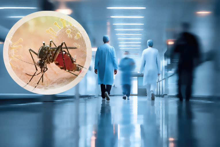ALARMANTNO U SRPSKOM KOMŠILUKU! Virus Zapadnog Nila uzima DANAK, preminula TREĆA OSOBA, najmlađi pacijent ima 25 godina!