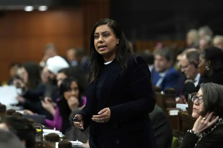 Canadian politician says ‘foreign entity’ hired people to shoot at Toronto synagogues
