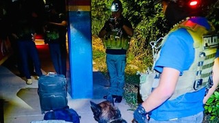Can detecta maletas con droga y capturan a seis pasajeros en Puerto Suárez
