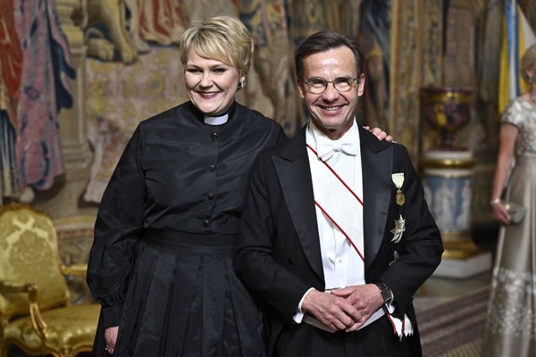 Därför är kritiken mot Birgitta Ed så stor