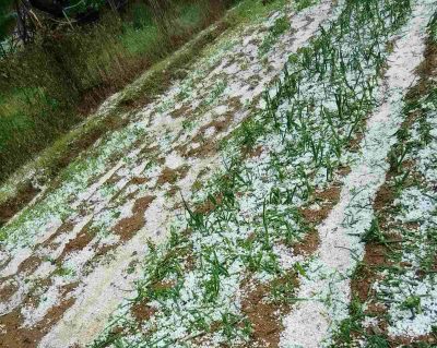 Oluja i grad opustošili bujanovačka sela, protivgradna nije dejstvovala zbog aviona (foto)