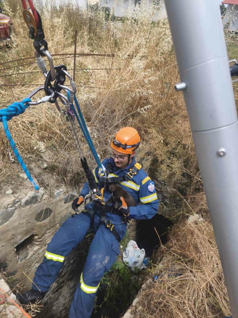 Επιχείρηση για τον απεγκλωβισμό κουταβιού – Το έσωσαν από νερόλακκο βάθους 8 μέτρων (εικόνα)