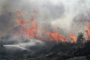 Uhapšen osumnjičeni za izazivanje požara na Bovanskom jezeru - varnice sa brusilice zapalile travu