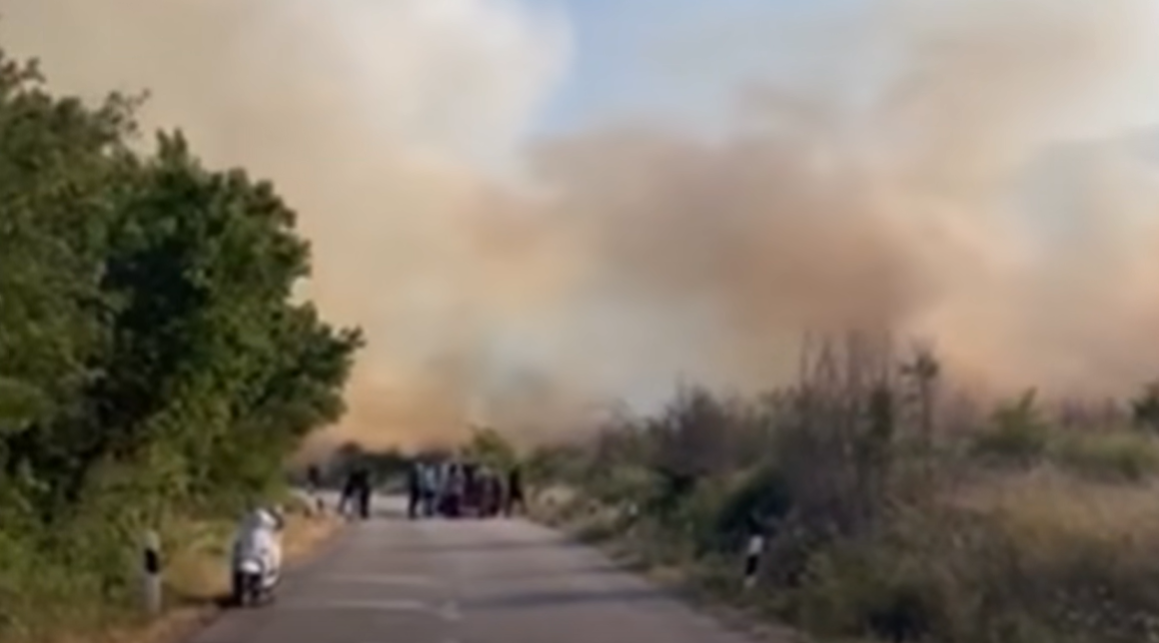 (VIDEO)  Golem požar ima kaj seloto Ratavica