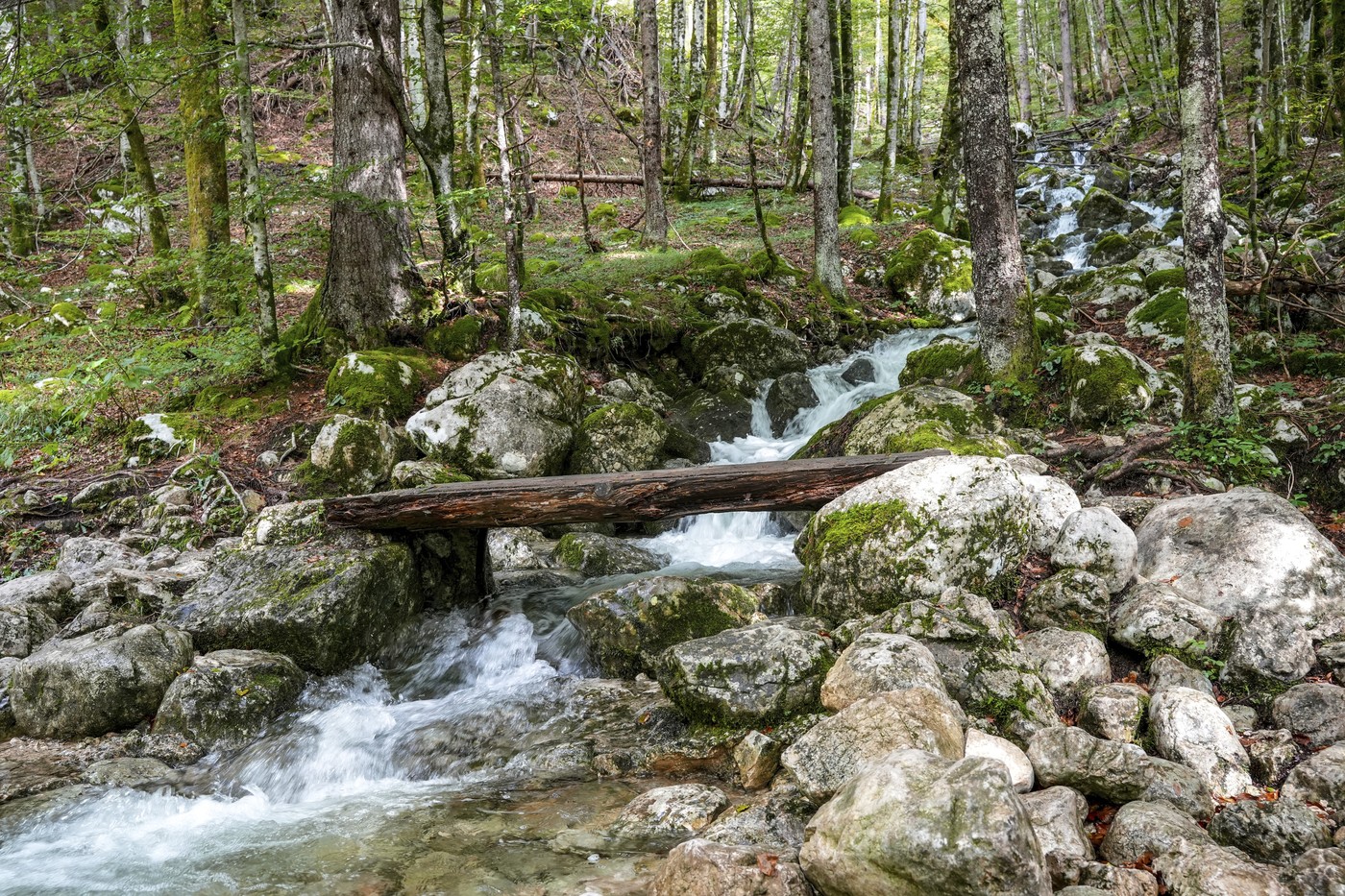 Srbija ima svoj skriveni kanjon koji izgleda kao scena iz filma i skoro niko ne zna za njega