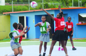 PRIMARY SCHOOLS LIGHT UP NETBALL TOURNAMENT  AT WEBSTER’S PARK