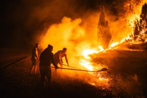 Vatrena stihija i ljudski faktor