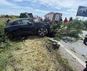 Accident pe centura Aradului: a intrat cu mașina într-un pom și l-a scos cu rădăcini cu tot