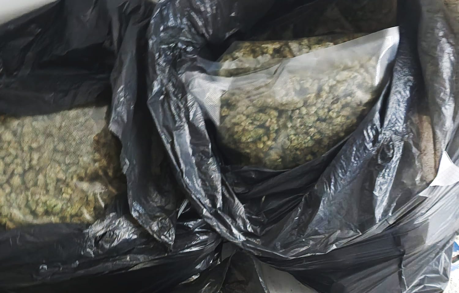 Posle zaplene pola tone marihuane kod Smedereva, u pritvoru i dvojica Čačana