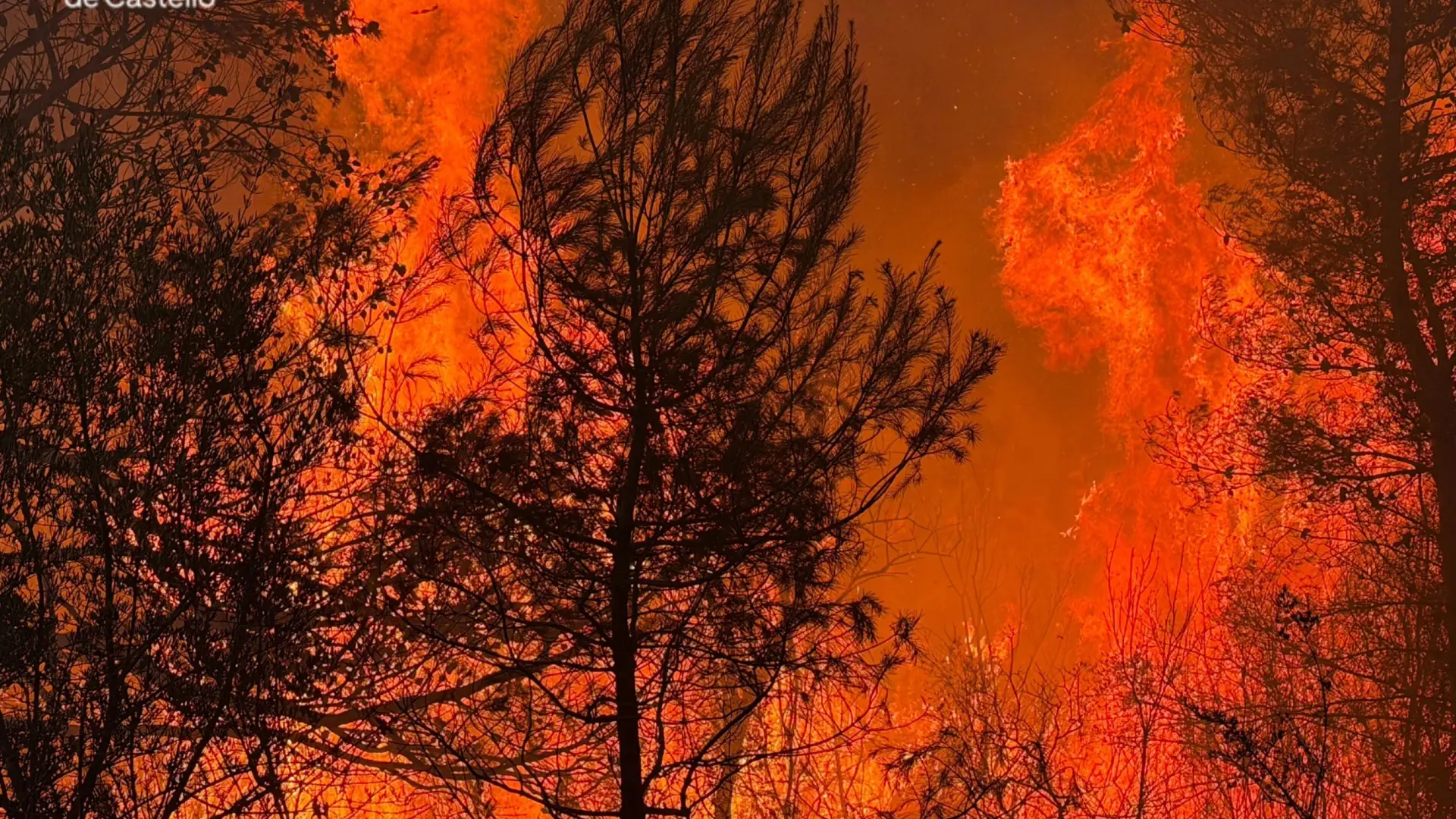  Los incendios desbordan España en el peor fin de semana que se recuerda: el fuego pone en jaque el centro y este peninsular 