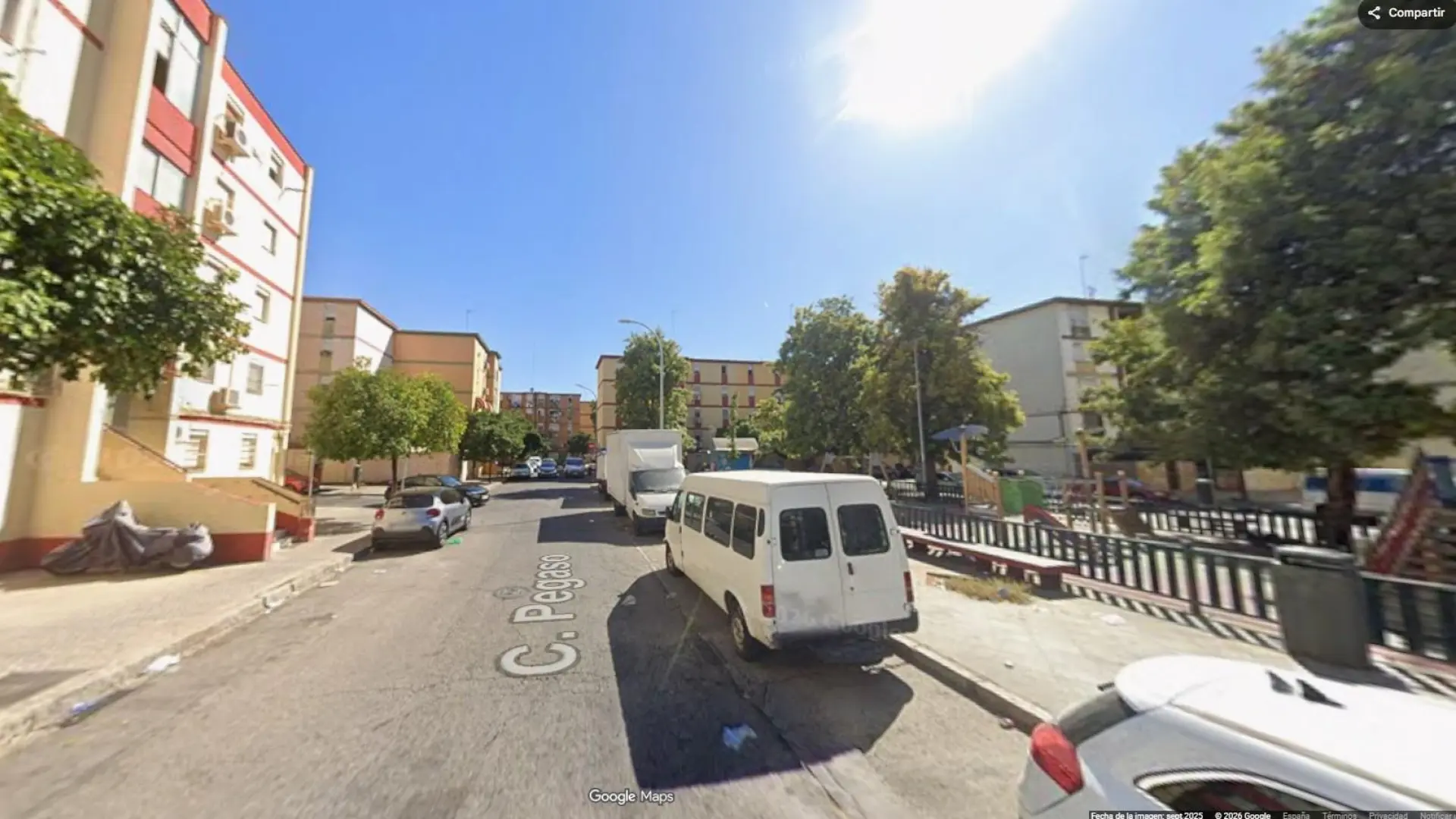  Redada sorpresa en Sevilla: la Policía encuentra un caimán de medio metro en una vivienda 