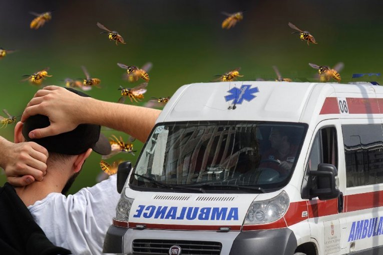 OSE-UBICE, DVE SMRTI ZA SAMO 10 DANA! Čitajte u Srpskom telegrafu!