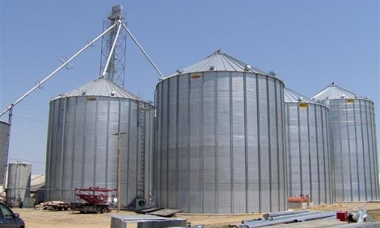 Egypt advances silo modernisation efforts to safeguard strategic grain reserves