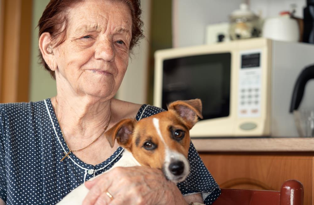 O ovih 5 tema nikada ne bi trebalo da razgovarate sa unucima: Ako želite da vas vole i poštuju