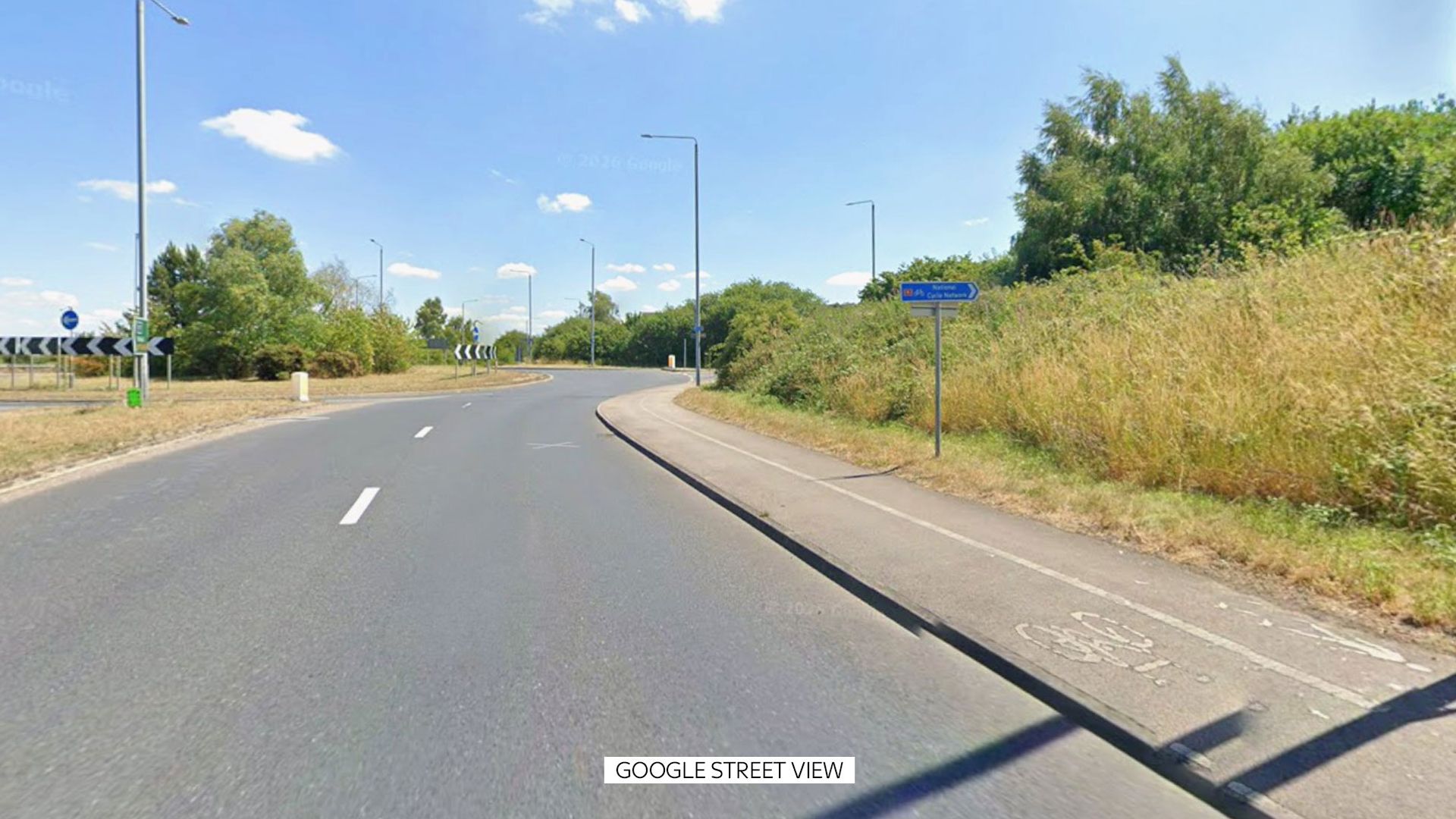 Human skeletal remains found in wooded area