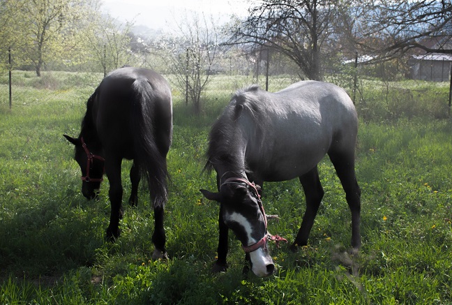 Danas temperatura do 23 stepena
