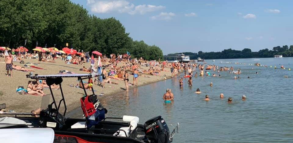 MISTERIJA KOJA LEDI KRV U ŽILAMA! Desetine leševa morskih nemani prekrilo obalu: Ljudi u panici u neverici gledali prizor, niko ne zna šta ih je ubilo!