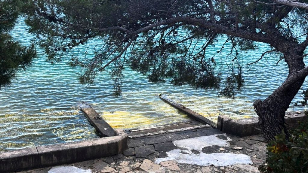 Yellow sea phenomenon off Šibenik reveals new insights into Adriatic ecosystem