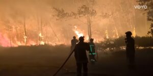 Drama vo blizina na Herceg Novi: Požar gi zafati ridovite, 50 kuќi se zagrozeni, žitelite se podgotvuvaat za evakuacija