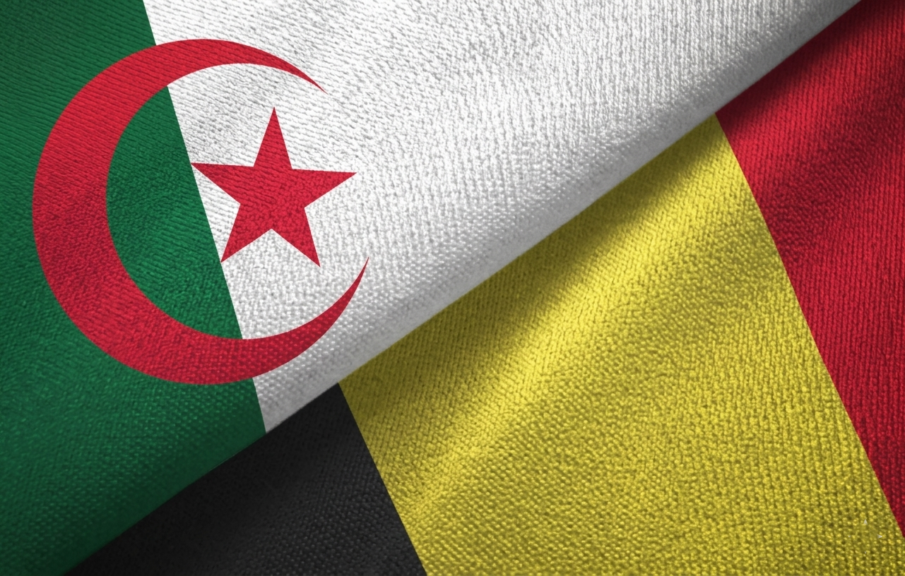 مباحثات جزائرية بلجيكية لتوسيع التعاون في الطاقة والطاقات المتجددة