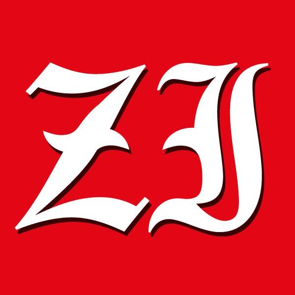 Zagorje International